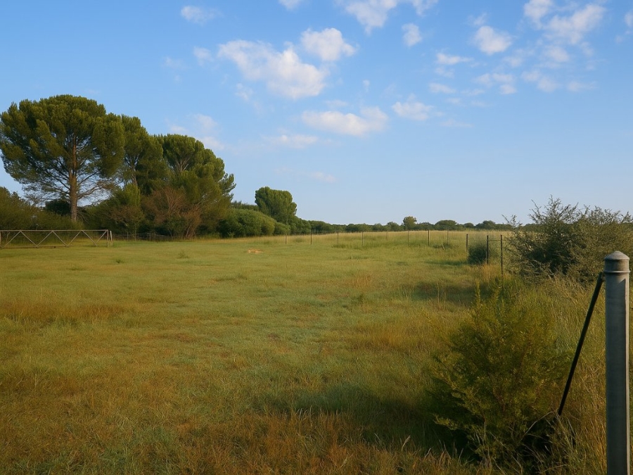  Bedroom Property for Sale in Bloemfontein Rural Free State